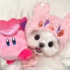 Chico Jericho avatar